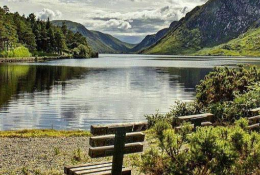 Ards Forest Park